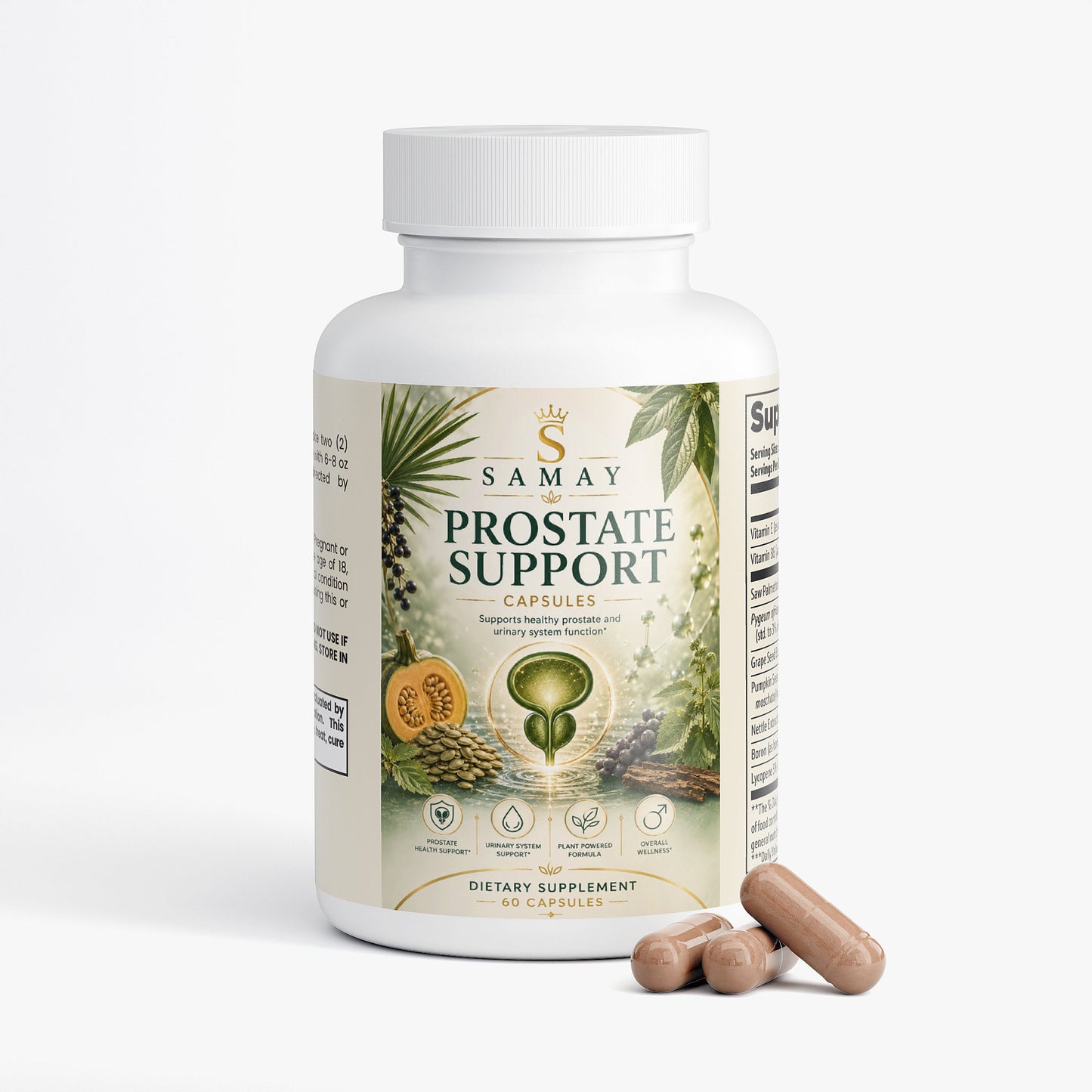 Prostate Support
